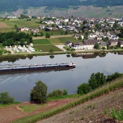minheim_05.jpg