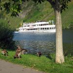 minheim_04.jpg