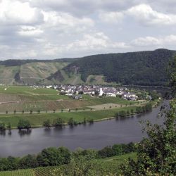 minheim_09.jpg