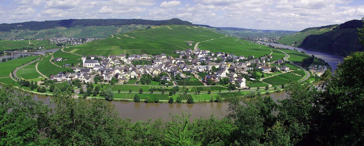 Minheim an der Mosel